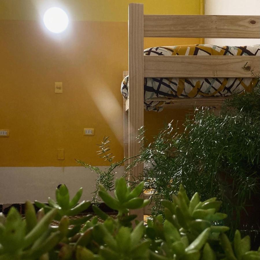 Blanes Hostel มอนเตวิเดโอ ภายนอก รูปภาพ